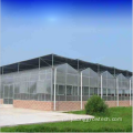 Tomatenhydroponic -Anbausysteme Polycarbonat Gewächshaus